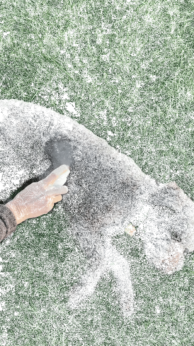 HuidRust™ | Huidverzorging hond