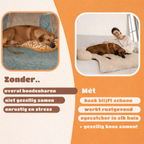 BankNest™ | Hond eigen plek