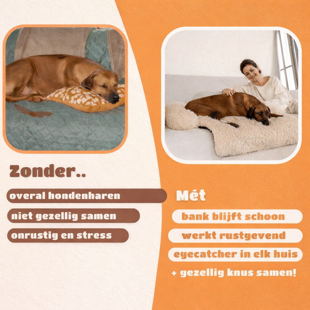 BankNest™ | Hond eigen plek