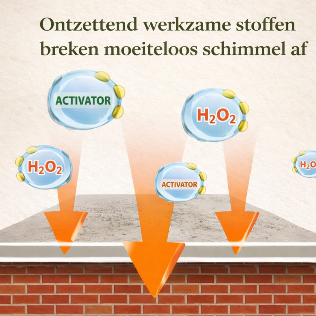 SchimmelClean™ | Direct Schimmelvrij