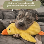 KnuffelEend™ | Anti-stress hondenknuffel
