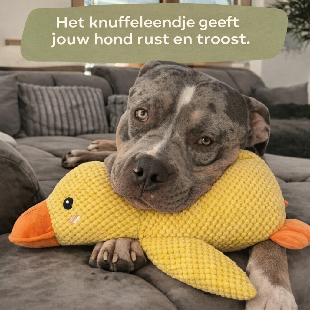 KnuffelEend™ | Anti-stress hondenknuffel