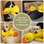 KnuffelEend™ | Anti-stress hondenknuffel