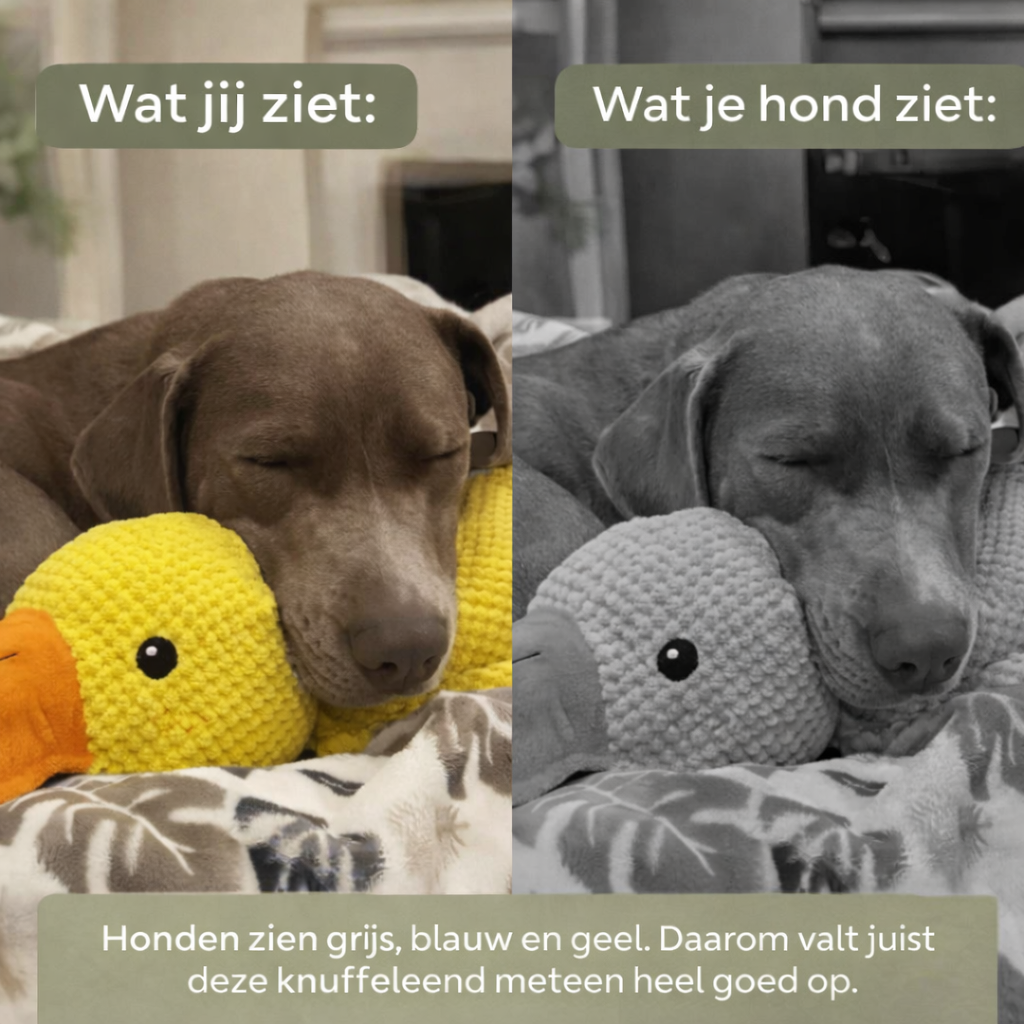 KnuffelEend™ | Anti-stress hondenknuffel