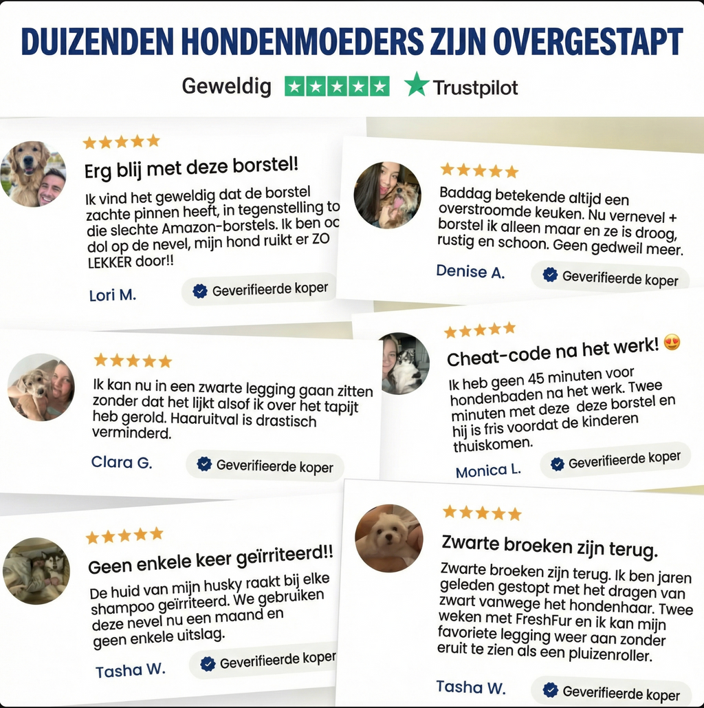 StoomBorstel™ | Zachte verzorging